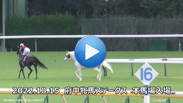 【競馬友情物語２】 ソダシに友達ができた！！ 2022府中牝馬ステークス