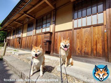 旅の思い出シリーズ 2021年4月24日、島根県太田市「大森の町並み」から「石見銀山」をぶらり散歩した思い出でござる