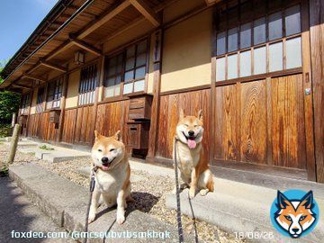 旅の思い出シリーズ 2021年4月24日、島根県太田市「大森の町並み」から「石見銀山」をぶらり散歩した思い出でござる