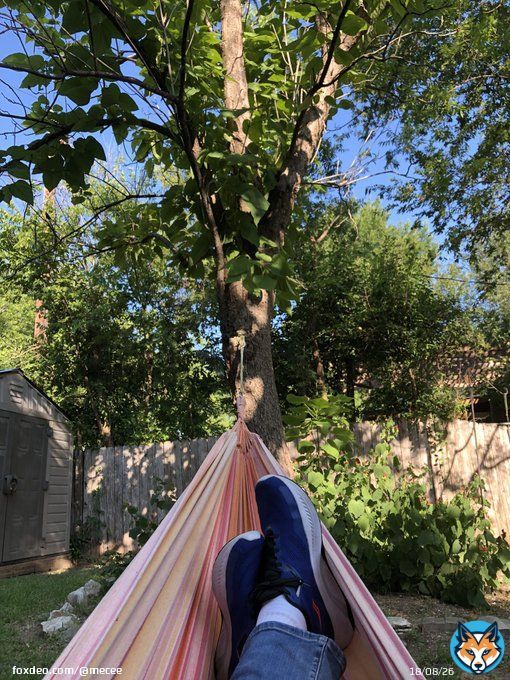 Nice evening for a hammock and hanging out with my dog. Not too hot at all today.
