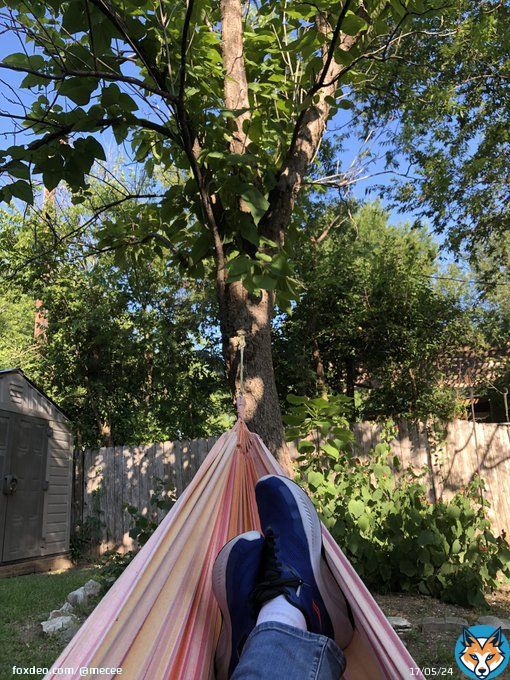 Nice evening for a hammock and hanging out with my dog. Not too hot at all today.
