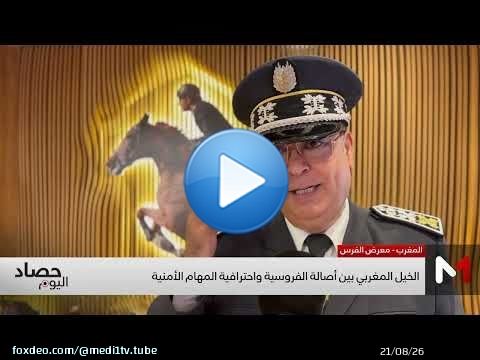 الخيل المغربي بين أصالة الفروسية واحترافية المهام الأمنية
