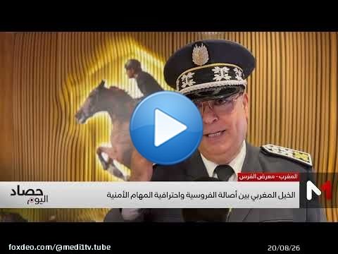 الخيل المغربي بين أصالة الفروسية واحترافية المهام الأمنية