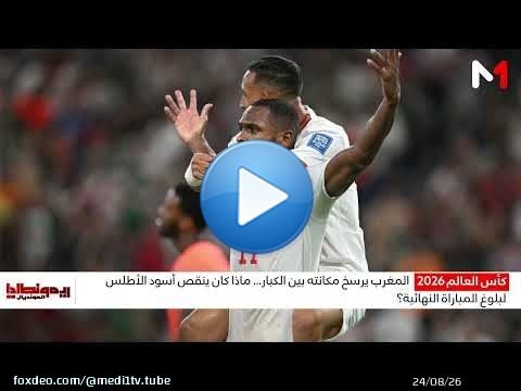 ما الذي أوقف الأسود عند محطة ربع النهائي؟