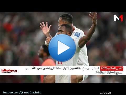 ما الذي أوقف الأسود عند محطة ربع النهائي؟