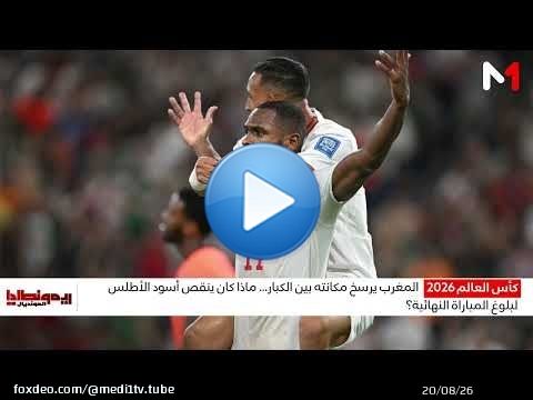 ما الذي أوقف الأسود عند محطة ربع النهائي؟