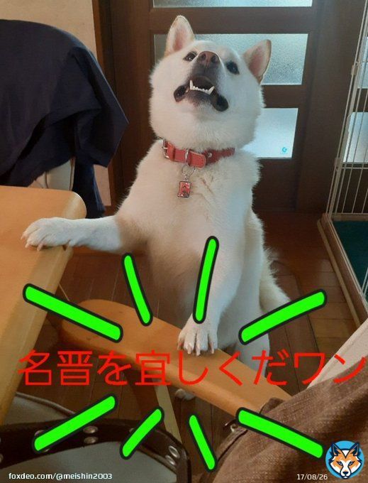 大阪ツイにも退勤の時間が訪れました 本日は名阪ツイ担共にバタバタしており、日中投稿出来ませんでした  明日から最強寒波が来るみたいですので、皆様くれぐれもお気をつけください それでは本日もお疲れ様でした #企業公式がお疲れ様を言い合う  #最強寒波 #不要不急の外出