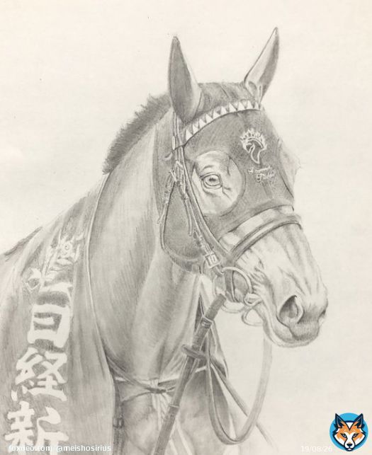 #日経新春杯  歴代優勝馬シリーズ  黒髪なびかせて初重賞を寿ぐ  #ヨーホーレイク
