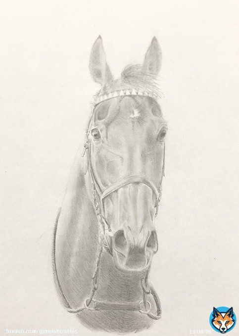 #弥生賞 歴代優勝馬シリーズ  2歳王者を退け重賞初制覇  #マカヒキ