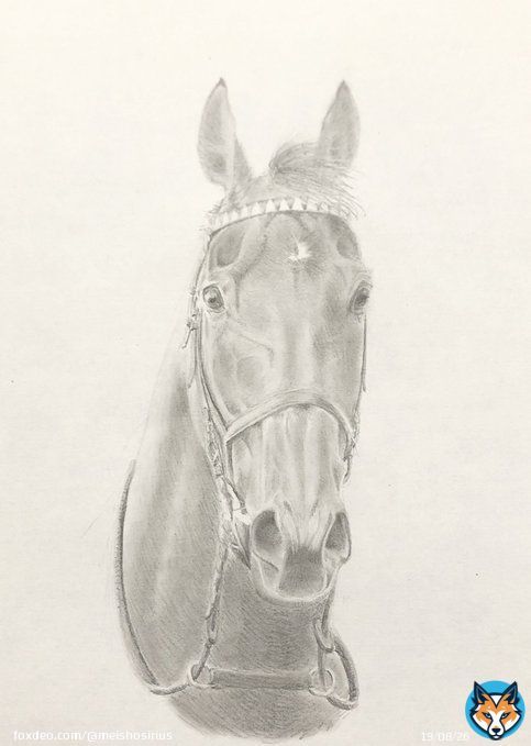#弥生賞 歴代優勝馬シリーズ  2歳王者を退け重賞初制覇  #マカヒキ