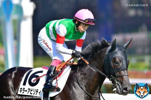 #キラーアビリティ #横山武史 #キャロットファーム #東京優駿2022 #日本ダービー #日本ダービー2022