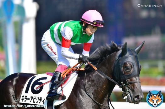 #キラーアビリティ #横山武史 #キャロットファーム #東京優駿2022 #日本ダービー #日本ダービー2022