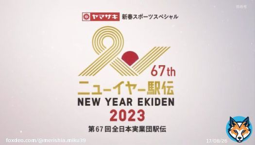 お正月といえば駅伝 #ニューイヤー駅伝