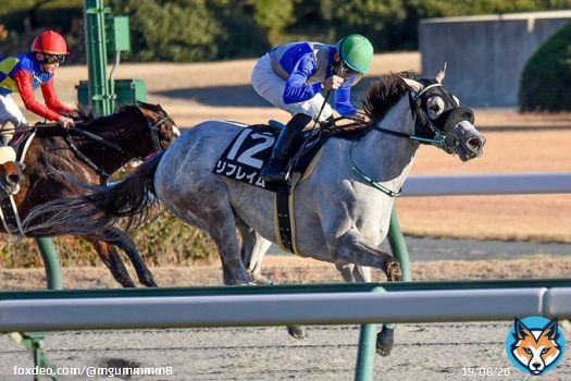 2022/12/18 中京11R ゴールドムーンステークス リフレイムちゃんと野中くん尊すぎる ホント中京まで来てよかった&hellip; リフレイムちゃんありがとう！  #リフレイム  #野中悠太郎 騎手  #コールドムーンステークス