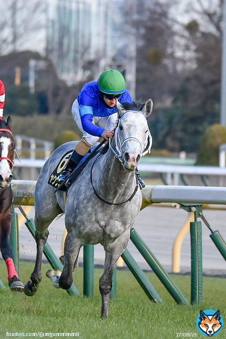 2023/01/28　東京10R クロッカスS  ゴール前ウインクをしてるように見えるヤクシマ  #ヤクシマ