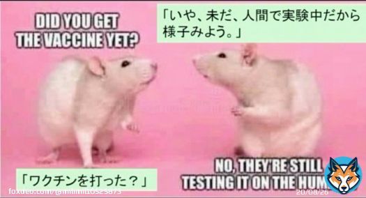 be  careful  #ワクチン薬害  #ワクチン後遺症 #ファイザーQuote Tweet