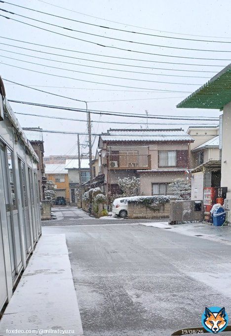 初雪 警報が出てるけど今は雨に変わってしまい、この後の凍結が怖い  #大雪警報