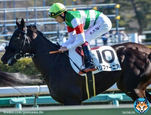 エフフォーリアの妹、ペリファーニア デビューおめでとう！