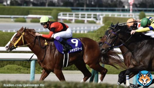 大阪杯 ジャックドールと武豊騎手、おめでとうございます 見事な逃亡劇だった&hellip;&hellip;悲願のG1制覇、本当におめでとう&hellip;&hellip;本当に綺麗な子だよ&hellip;