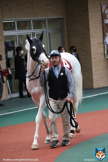 ハヤヤッコのキラースマイル　 #中京競馬場  #日経新春杯  #ハヤヤッコ