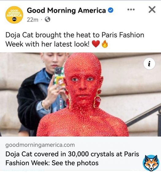 Show this, if a child asks how does menstruation look #menstruation #ParisFashionWeek #DojaCat