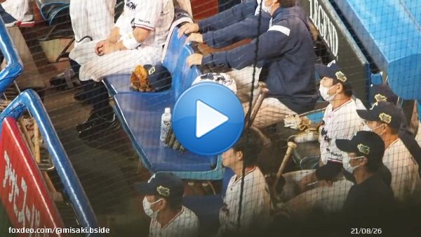2022.10.23@神宮球場 日本シリーズ第2戦 壮真くんの代打同点3ランホームランのときのベンチ みんなが一斉に飛び出してきてお祭り状態 手前の高津さんのガッツポーズ熱すぎるし、長岡くんぴょんぴょんはねてるし、サイス兄壮真くんのこと抱っこしてるし&hellip;！ 本当にありがとう(&acute;;&omega;;｀) #swallow