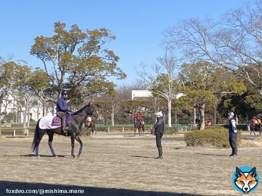 今朝のタイトルホルダー＆横山和生騎手