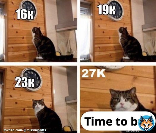 It's me  maybe you too?  #Bitcoin #Crypto #cryptocurrencies #Cryptomeme #Bitcoin2023 #NFTCommunity
