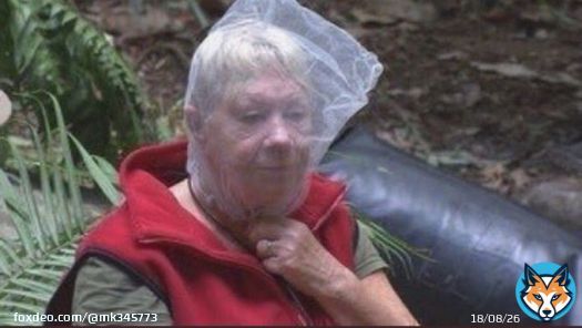 Every single England fan watching the game. #ENGUSA