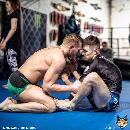 | 26-year-old lightweight Lee Hammond (5-0) is one of the SBG fighters that Conor McGregor has brought into the #TUF season.  Hammond is 5-0 with four first round finishes. He has an extensive amateur career and is an IMMAF gold medallist.  [per @LewisSimpsonMMA]  #UFC #MMA