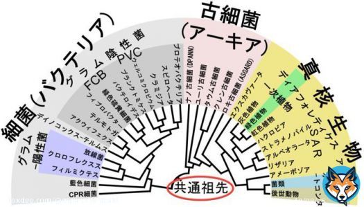 # 大体全てはこいつのせい選手権
