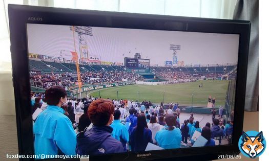おはようございます  今日から選抜高校野球 出場選手で行進も 四年ぶり色々制限されて 見てくださいみんな凛々しい顔 みんな頑張れ 青春だね