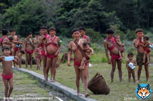 Militares negaram apoio a comiss&atilde;o parlamentar que pretendia verificar o que se passava com os yanomami. A extrema desnutri&ccedil;&atilde;o e o estado de sa&uacute;de s&atilde;o dolorosos demais e exigem explica&ccedil;&atilde;o e respons&aacute;veis.