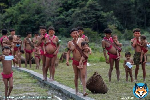 Militares negaram apoio a comiss&atilde;o parlamentar que pretendia verificar o que se passava com os yanomami. A extrema desnutri&ccedil;&atilde;o e o estado de sa&uacute;de s&atilde;o dolorosos demais e exigem explica&ccedil;&atilde;o e respons&aacute;veis.