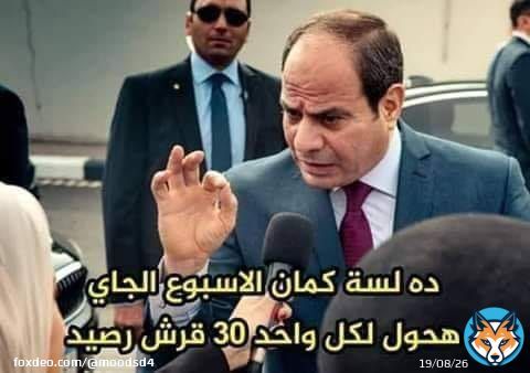 ربع جنيه ايه يا بلحة؟! يا ترجع البنزين زي ما استلمته ب ١٦٠ قرش والانبوبة ب ٨ جنيه يا ترجع القصور وحلق الحاجة زينب خلص الكلا م #مش_هنرضي_بالفتات