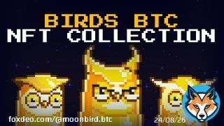 One of the most exciting developments in this space is the emergence of BirdsBTC,a new NFT collection that is exclusively available for purchase using Bitcoin.BirdsBTC is a collection of 10,000 unique,hand-drawn bird characters,each with its own disttinct personality and traits