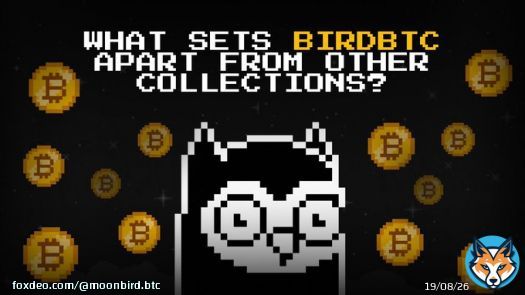 Bitcoin and NFTs are two of the hottest topics in the digital world right now, and a new NFT collection called BirdsBTC is poised to take advantage of the benefits of Bitcoin to become a major player in the NFT space.