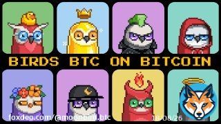 We have just started, the Bitcoin-based NFT collection that's poised to be the future of digital assets!   With greater security, lower fees, and a decentralized network, Birds BTC has a strong foundation for success. Exciting times ahead for NFT entnthusiasts!