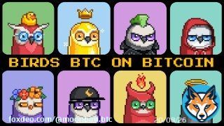 We have just started, the Bitcoin-based NFT collection that's poised to be the future of digital assets!   With greater security, lower fees, and a decentralized network, Birds BTC has a strong foundation for success. Exciting times ahead for NFT entnthusiasts!