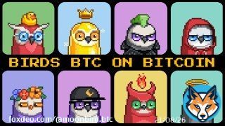 We have just started, the Bitcoin-based NFT collection that's poised to be the future of digital assets!   With greater security, lower fees, and a decentralized network, Birds BTC has a strong foundation for success. Exciting times ahead for NFT entnthusiasts!