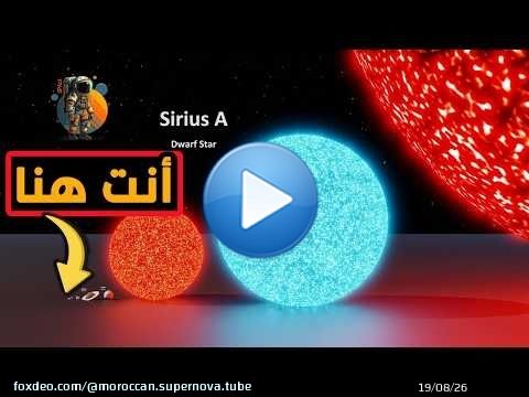 شحال تقريبا الإنسان صغير فالكون؟ هل ممكن أن تتخيل؟