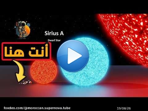شحال تقريبا الإنسان صغير فالكون؟ هل ممكن أن تتخيل؟