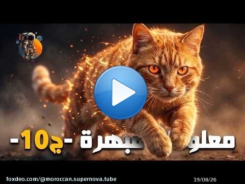 معلومات عامة مبهرة ستسمعها لأول مرة - الجزء 10 -