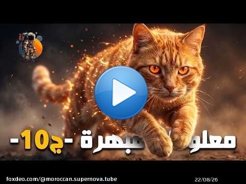 معلومات عامة مبهرة ستسمعها لأول مرة - الجزء 10 -