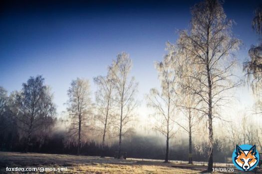 Какой сегодня праздник: 24 февраля 2022 года