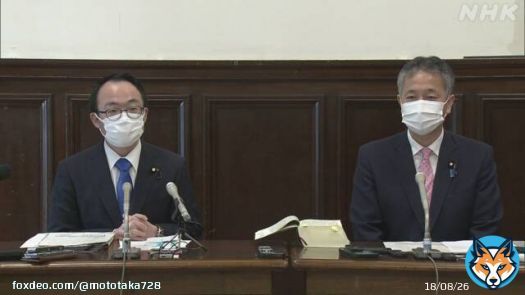 ガーシーだけじゃなく 全議員の歳費 カットしろよ
