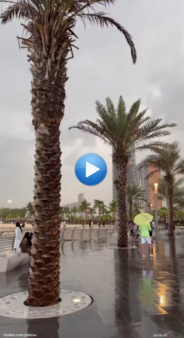 Magic   #جده_الان