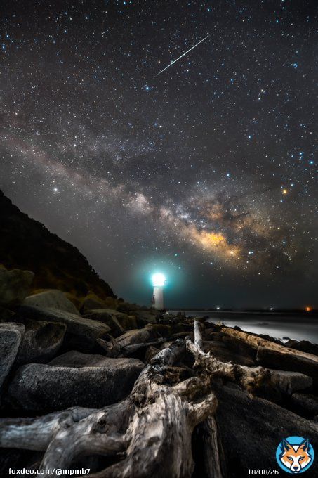 ふたご座流星群を撮りに行けなかったので、夏に撮影した1枚をご覧ください
