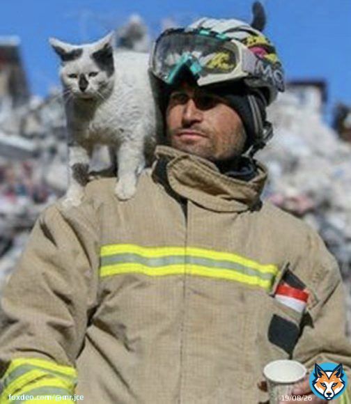 TOUCHING! A cat was saved from under the earthquake rubble in Turkey. The animal now refuses to leave its rescuer's side.  Everybody needs a hero&hellip; cats too #TurkeyAndSyriaEarthquake