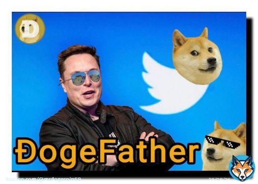 Are You Still Supporting #Doge ?